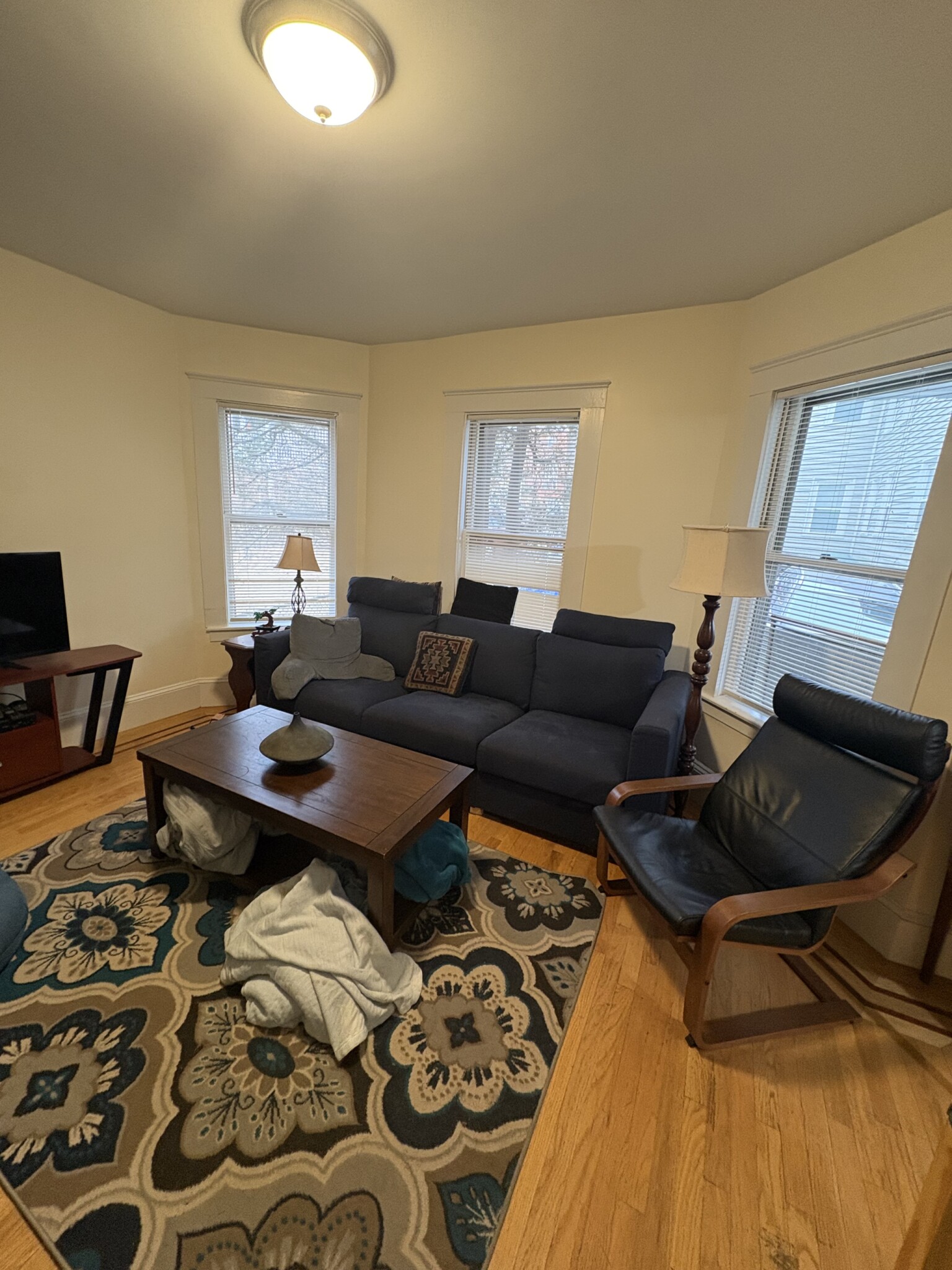 28 Cherry St, Spring Hill