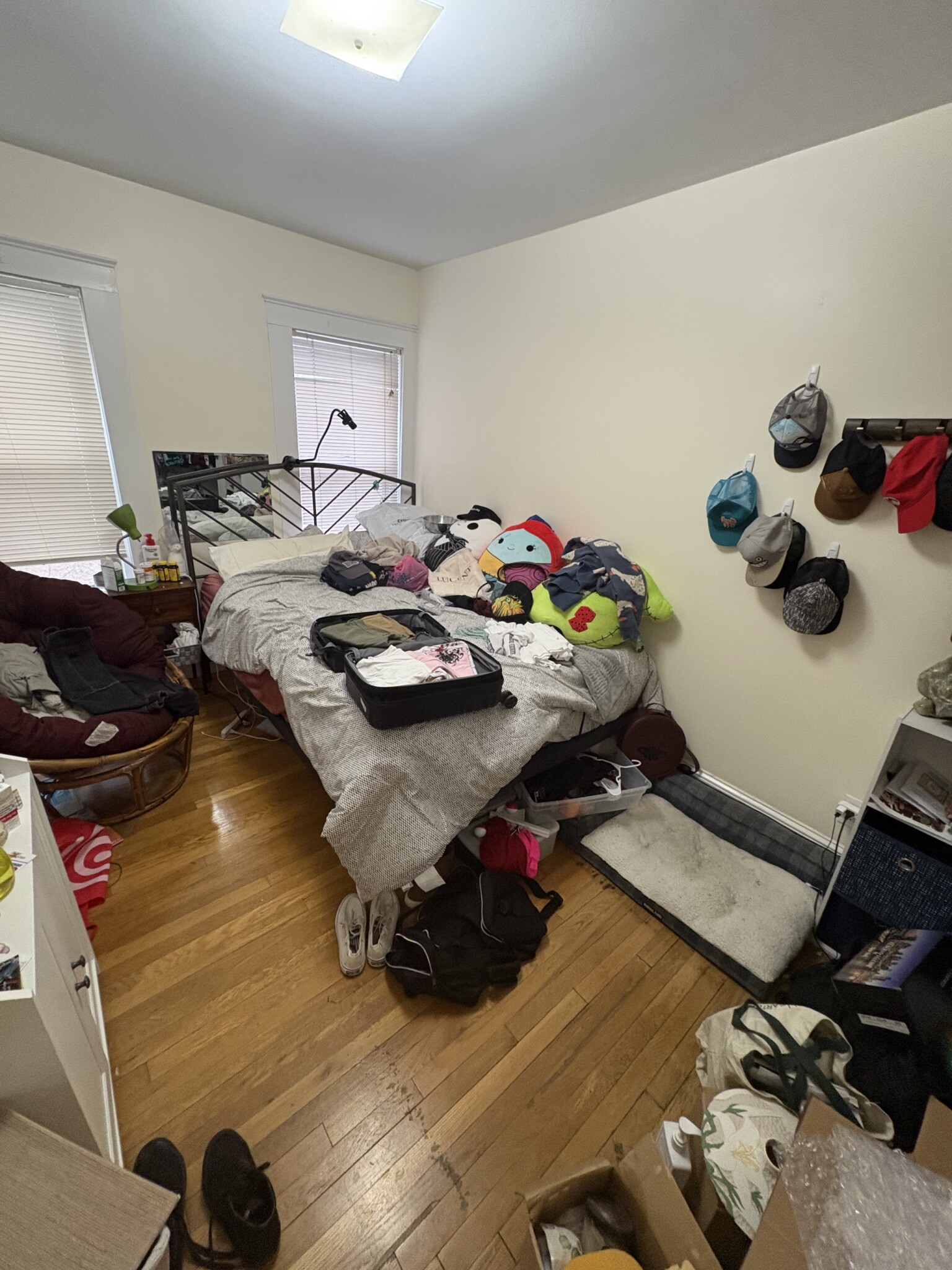 28 Cherry St, Spring Hill