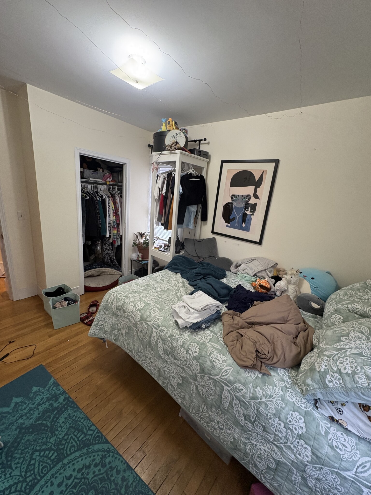 28 Cherry St, Spring Hill