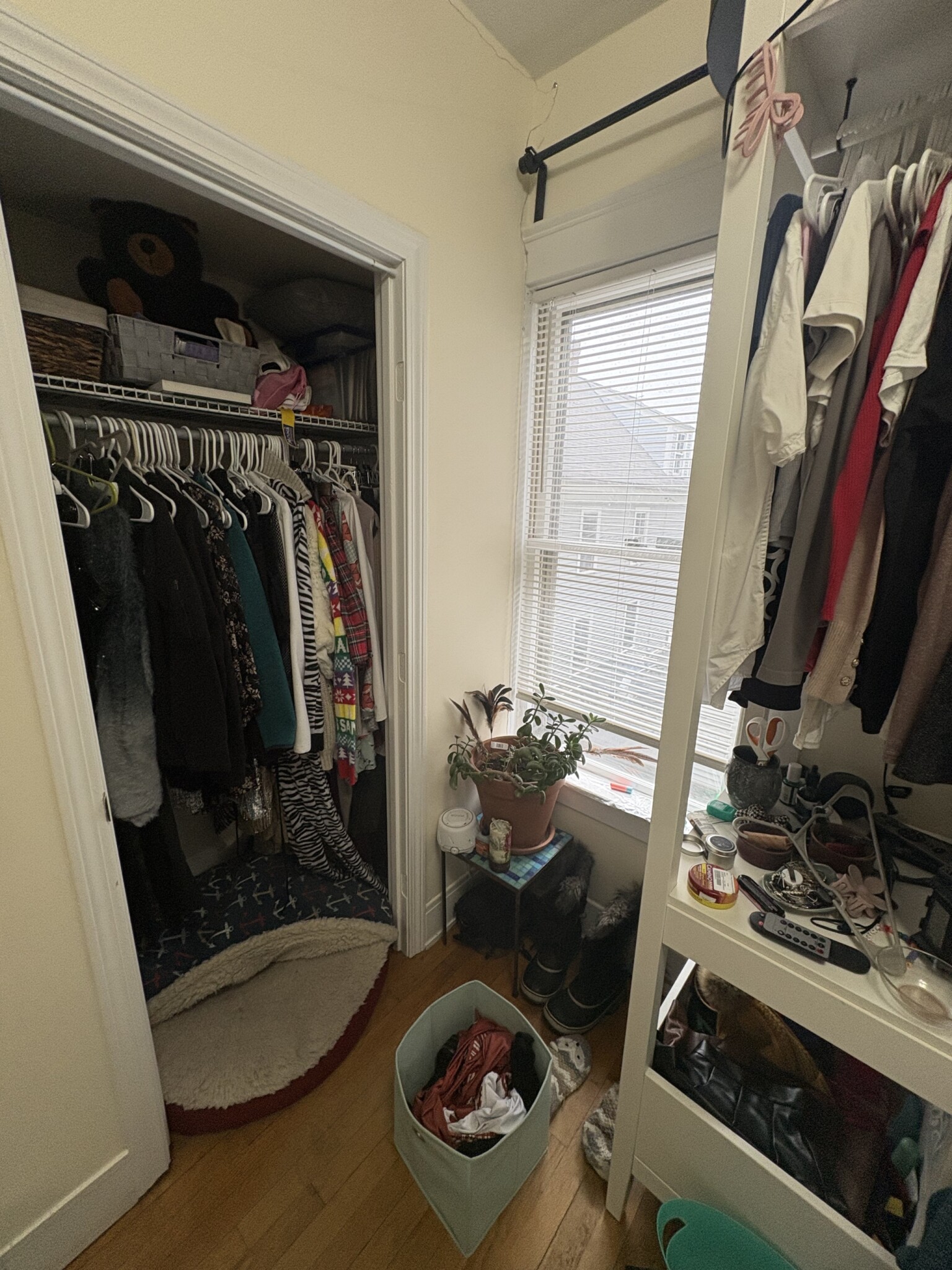 28 Cherry St, Spring Hill