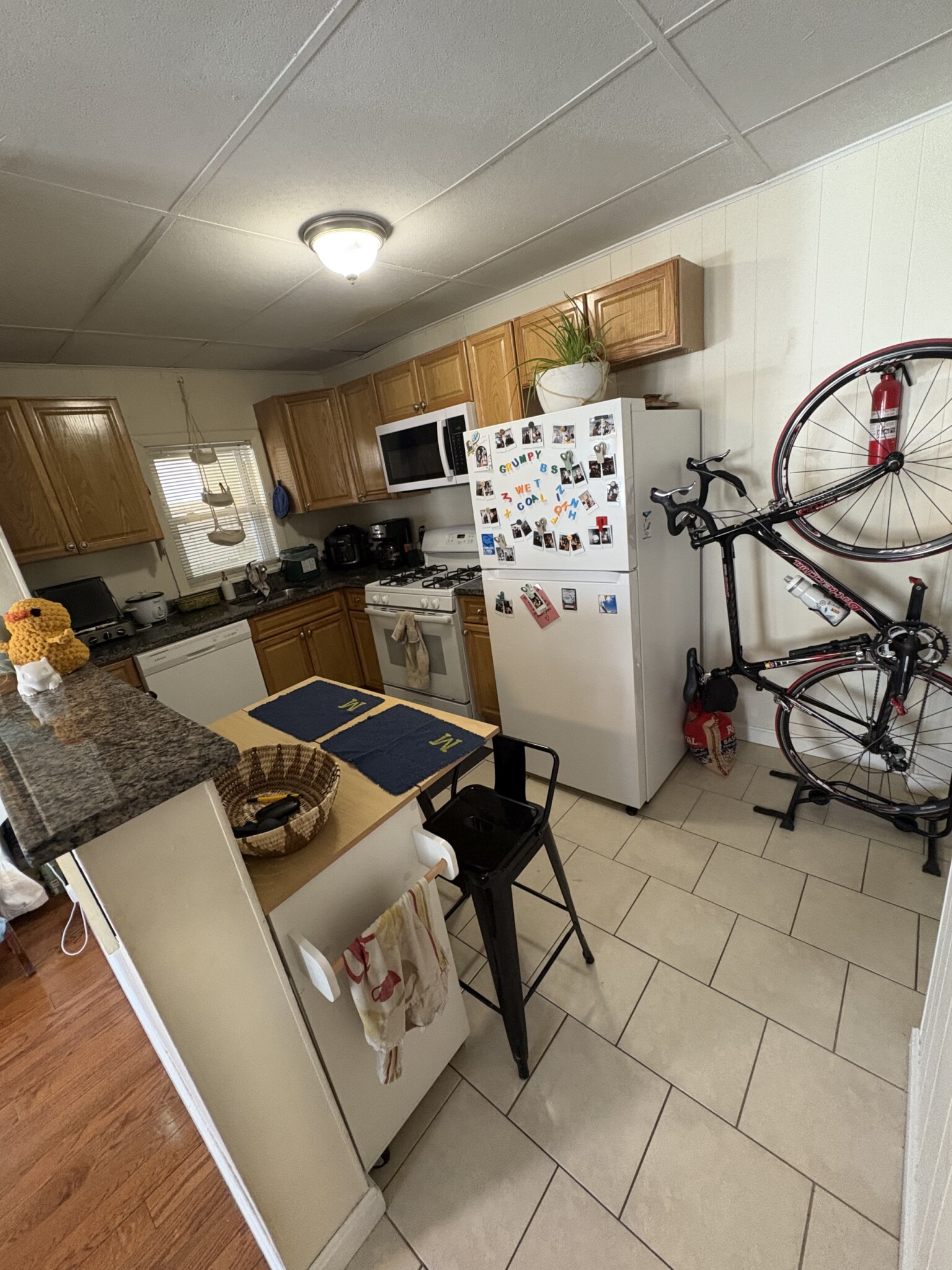 57 Cedar St, North Cambridge