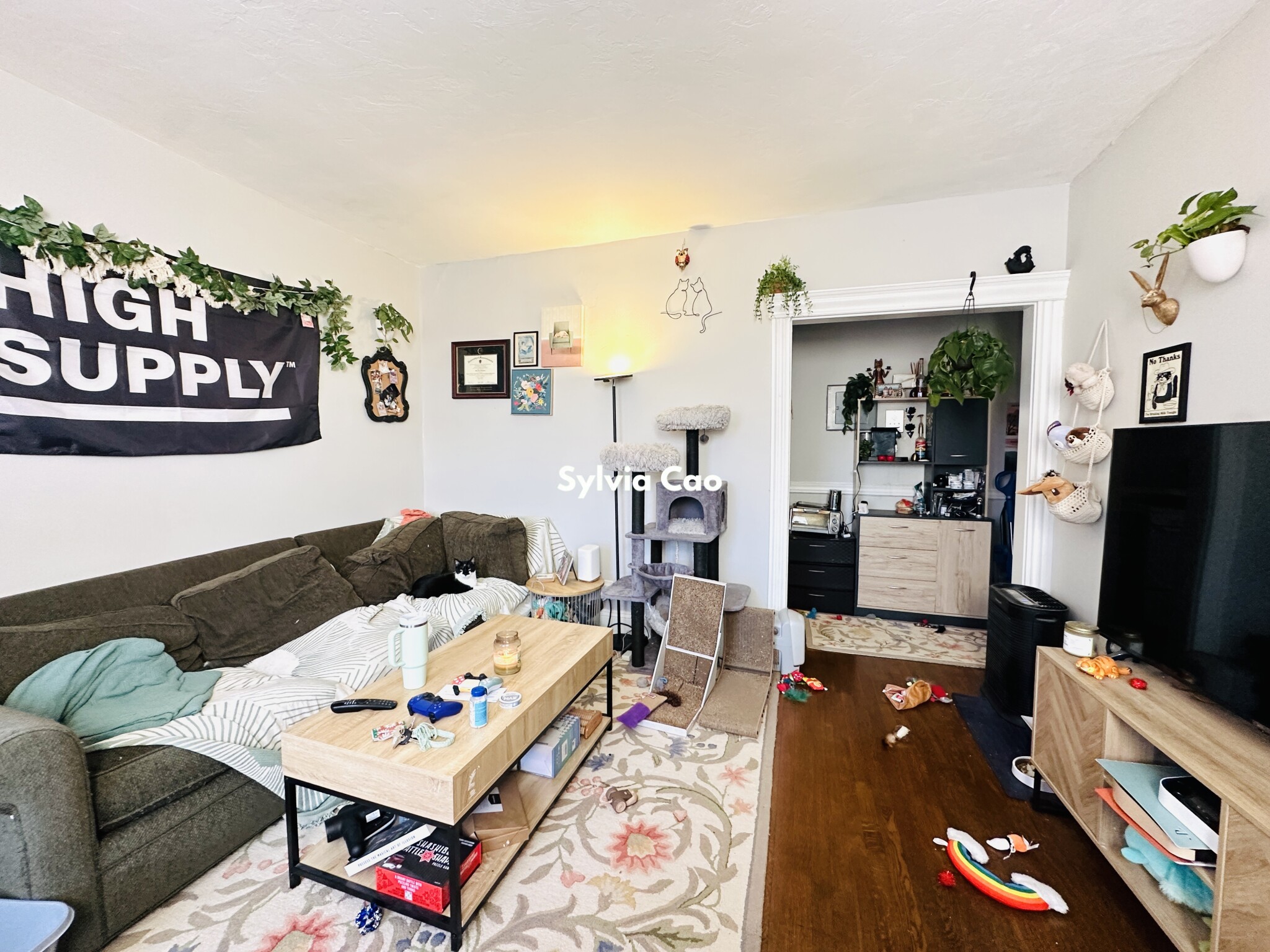 368 Riverway, Mission Hill