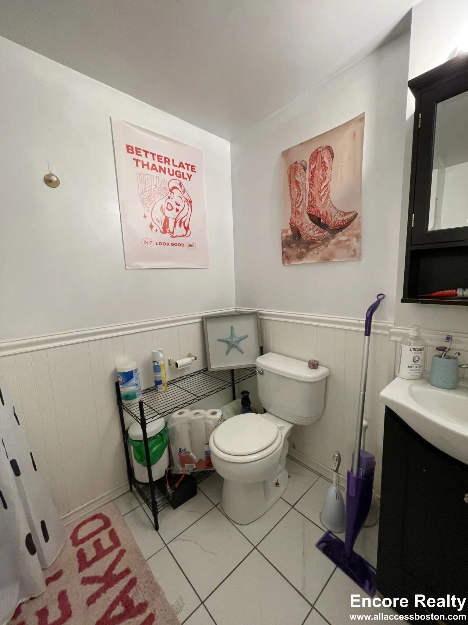 62 Egmont St, North Brookline