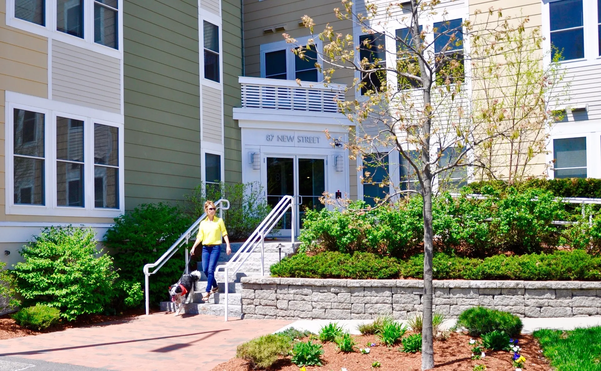 87 New St, Neighborhood Nine