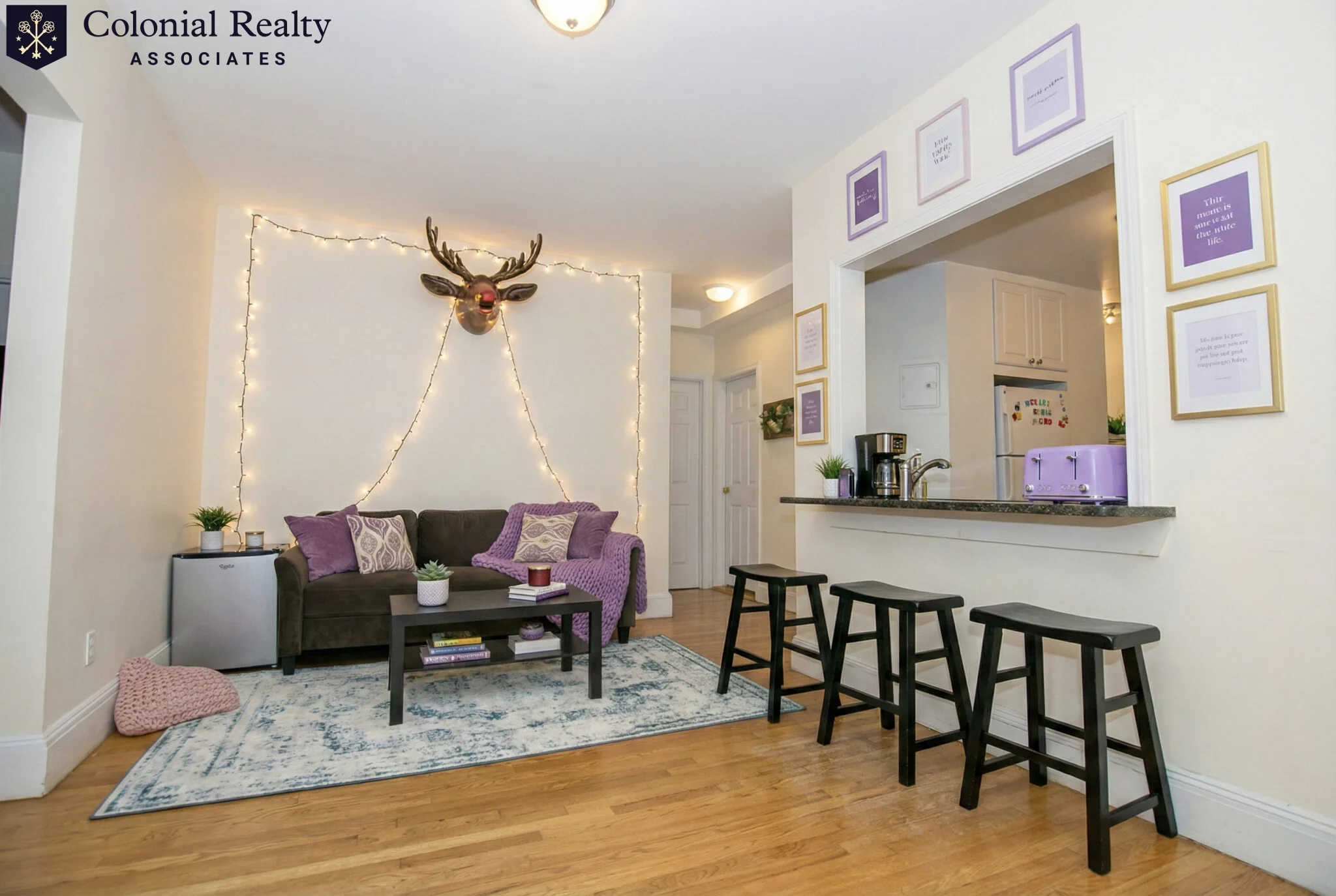 62 Egmont St, North Brookline