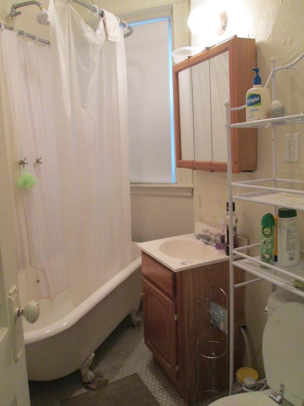 5 Walbridge St, Brighton