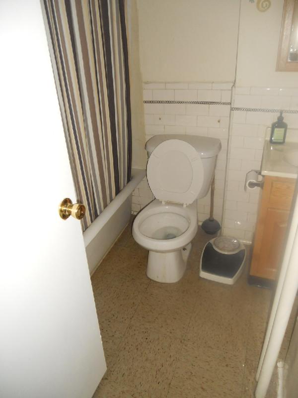 1 bed, 1 bath apartment for rent at 223 Essex St Unit 31, Melrose — photo 8 of 20