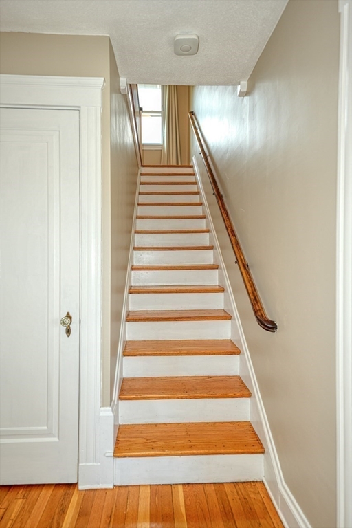 85 Roosevelt Rd, Medford