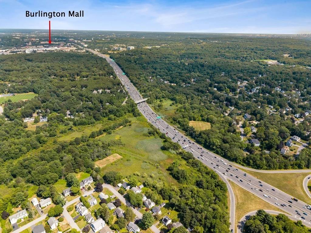 38 Ivan St, Lexington