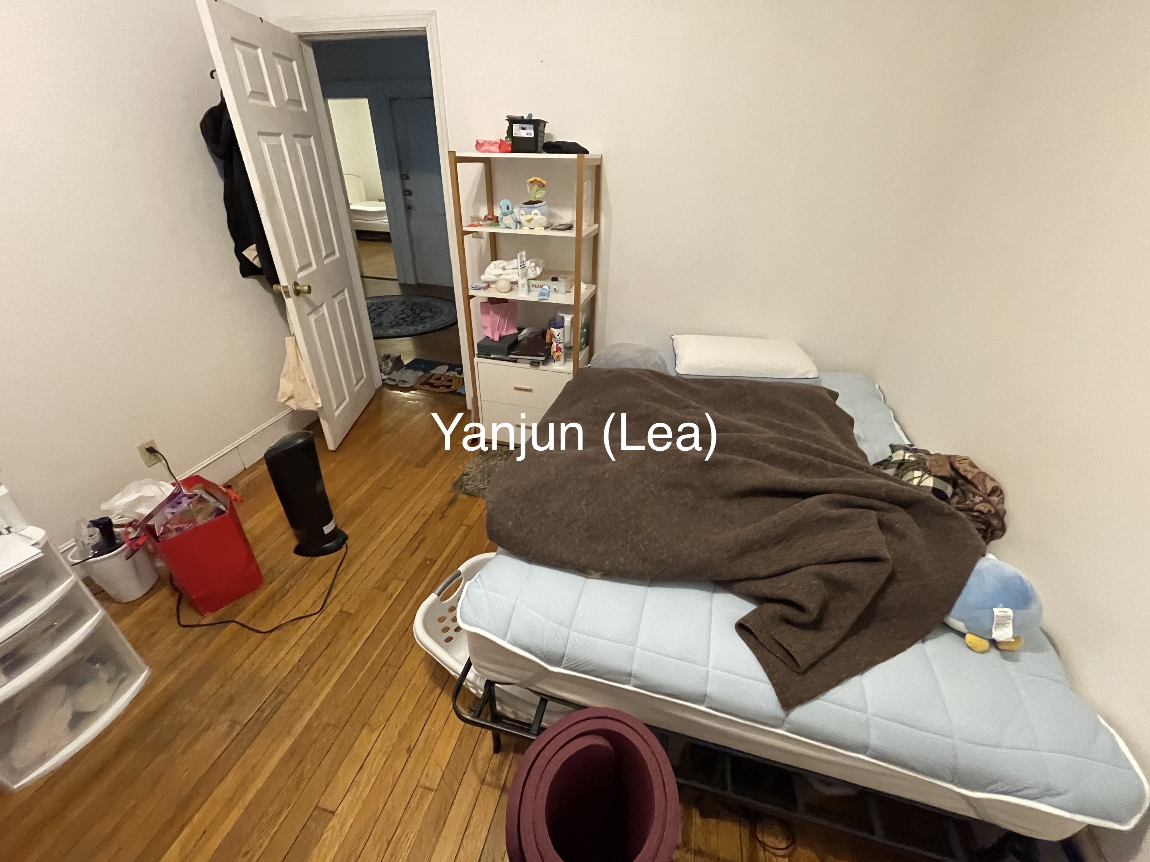 15 Scottfield Rd, Brighton