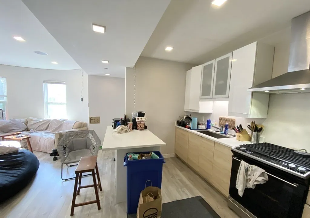 113 Hillside St, Mission Hill