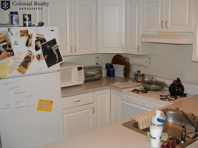 62 Egmont St, North Brookline