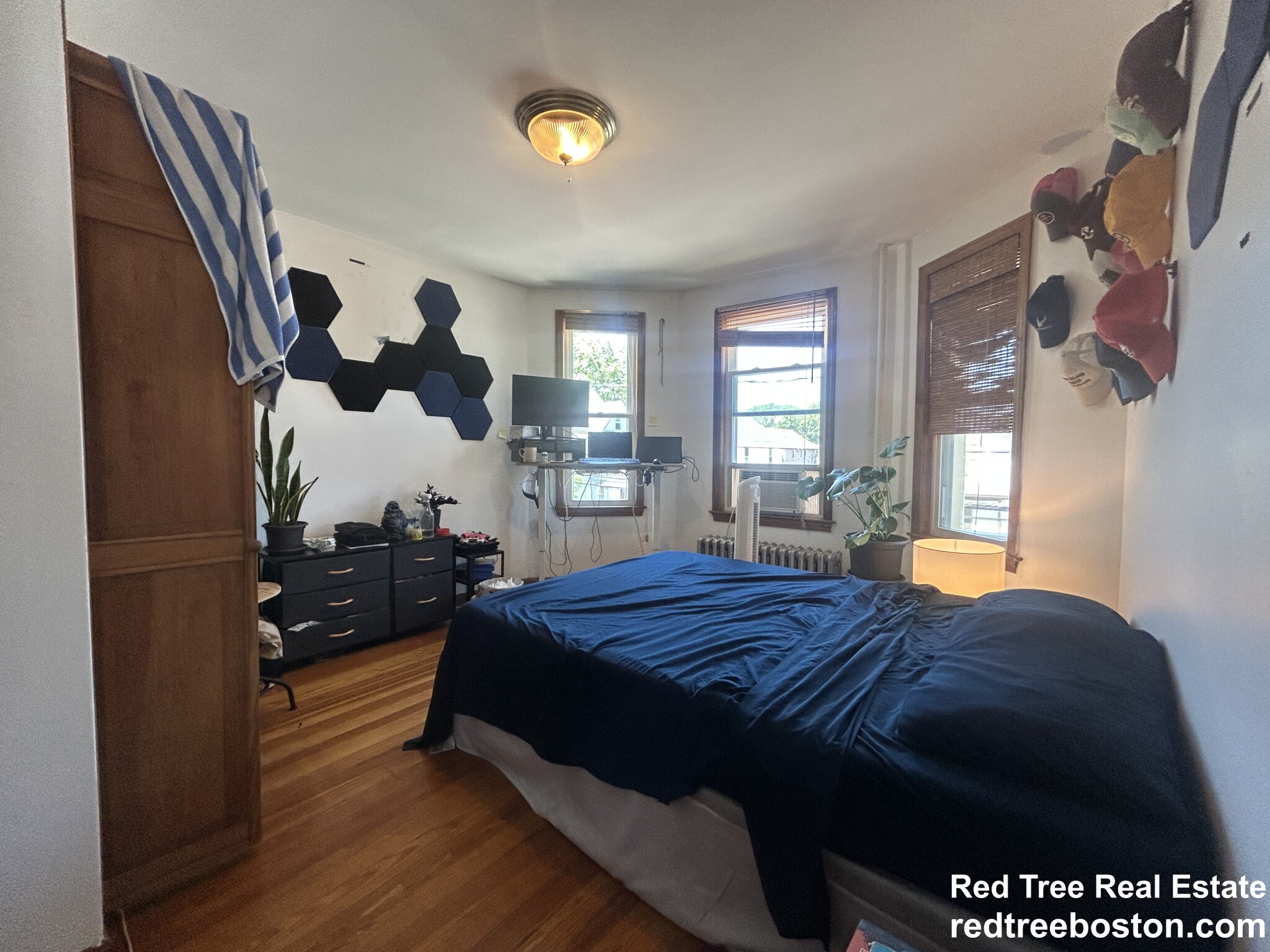 45 Litchfield St, Lower Allston