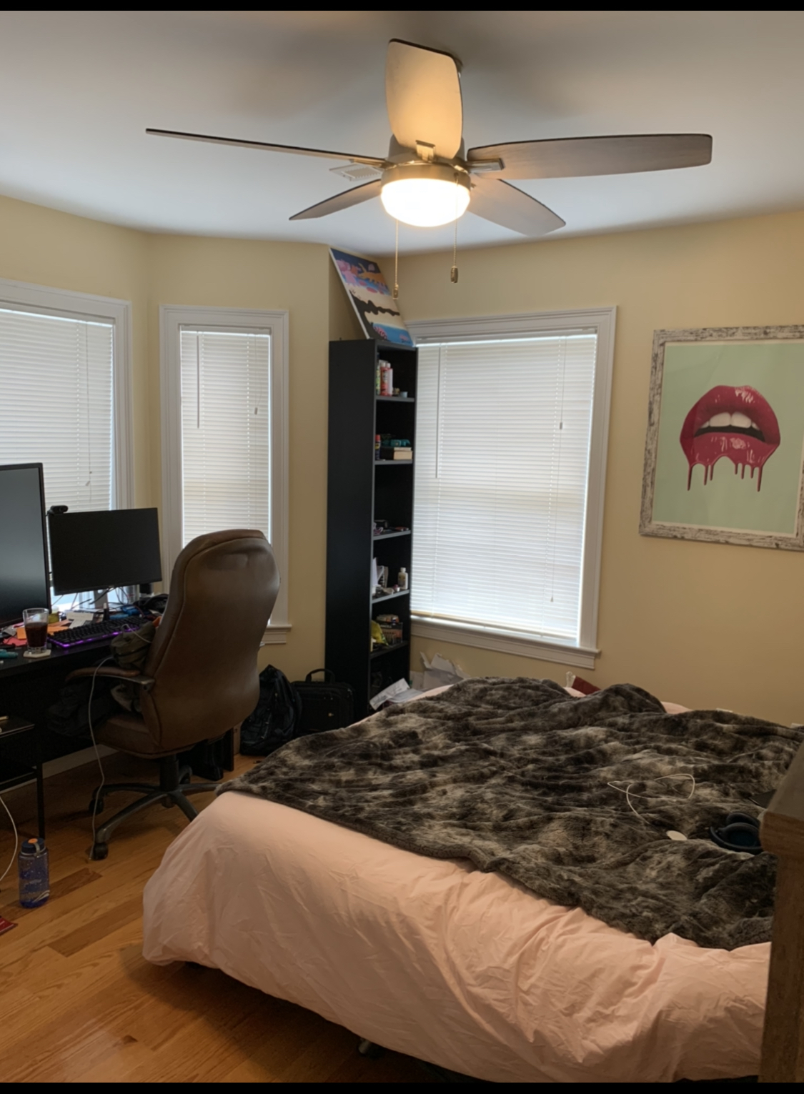 116 Holland St, Davis Square