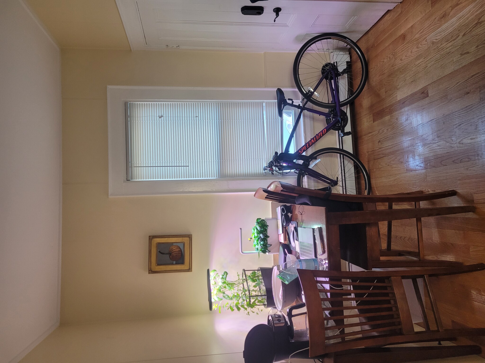 12 Claremon St, Teele Square