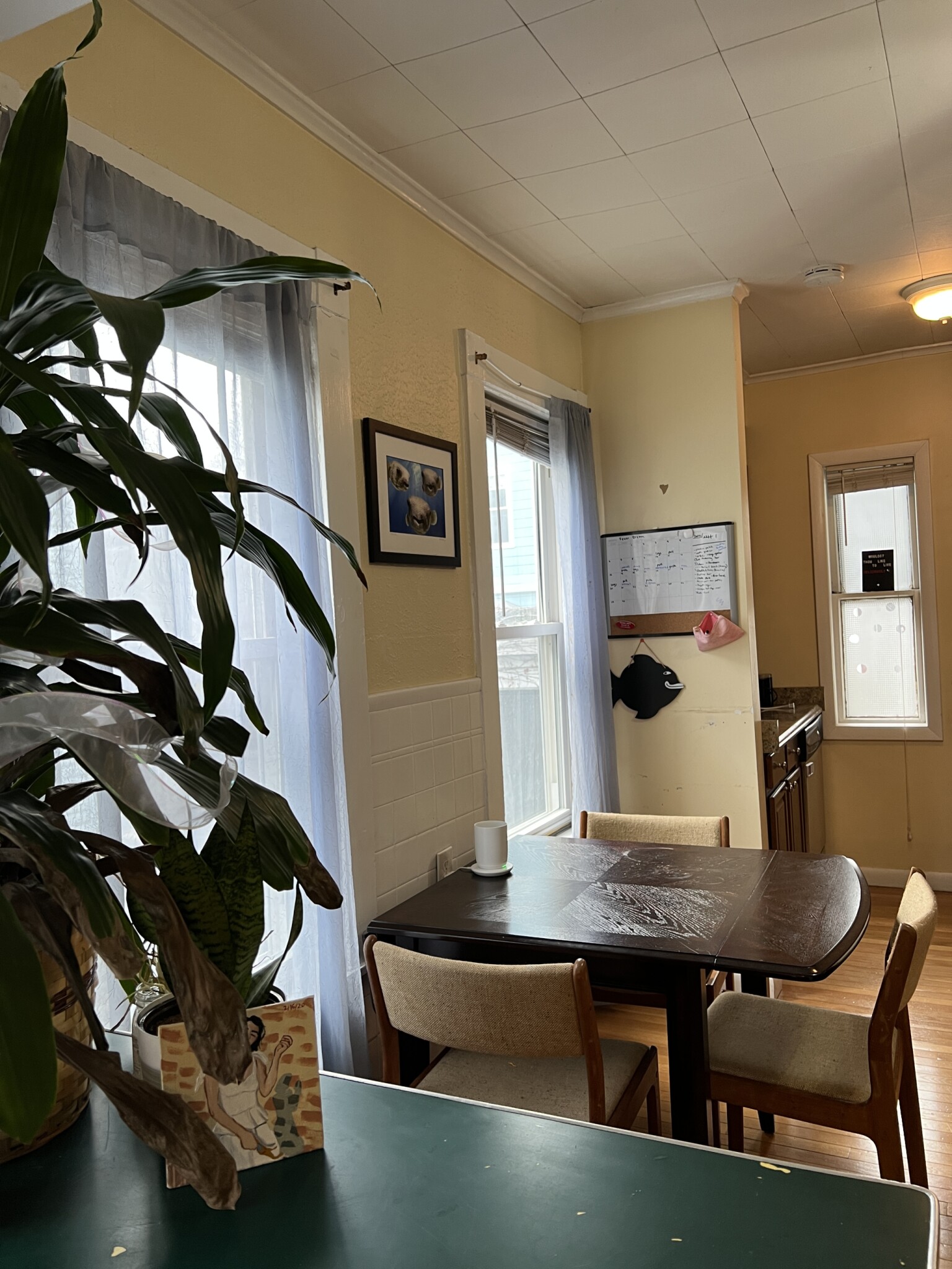 12 Hancock St, Spring Hill