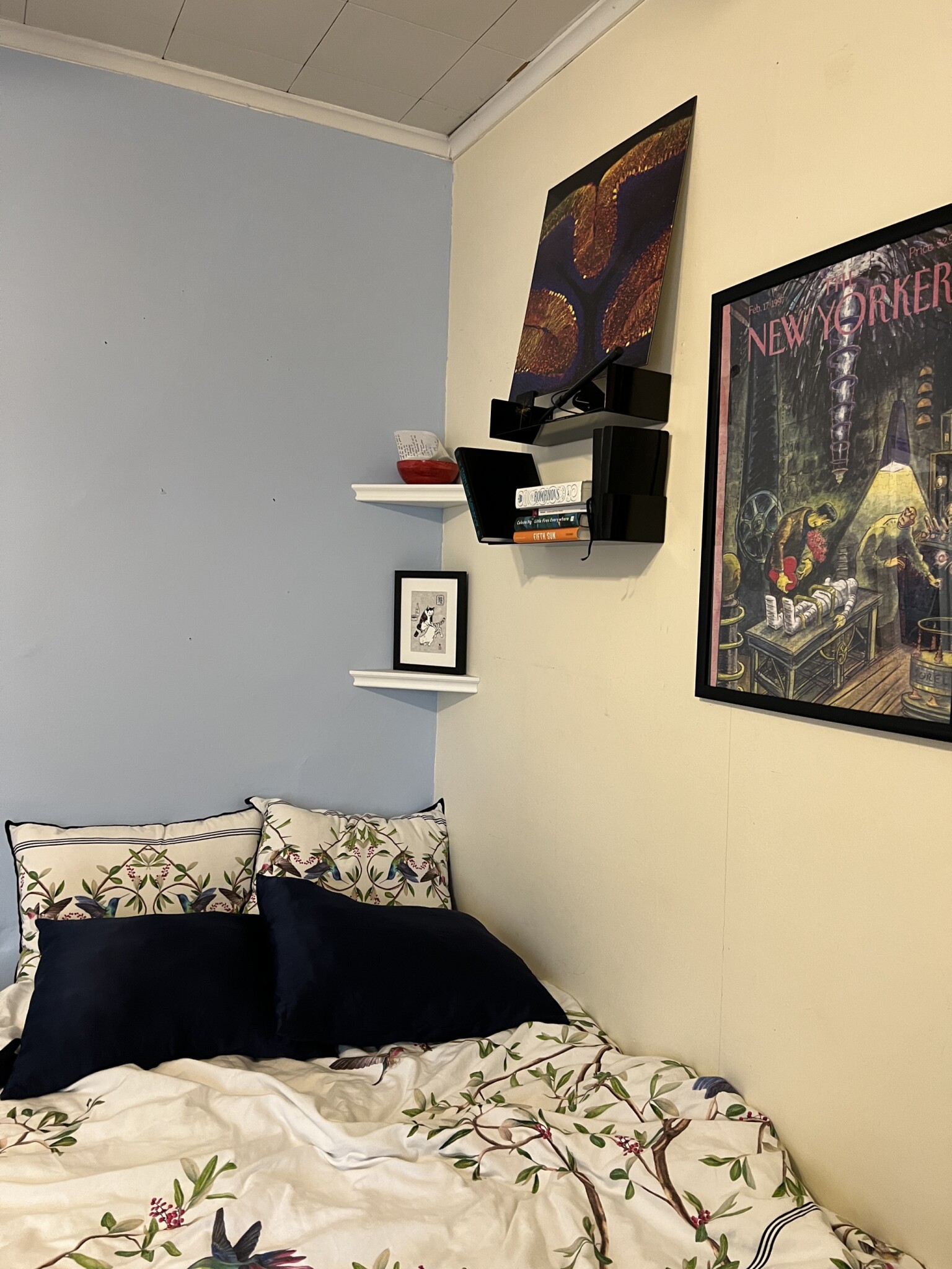 12 Hancock St, Spring Hill