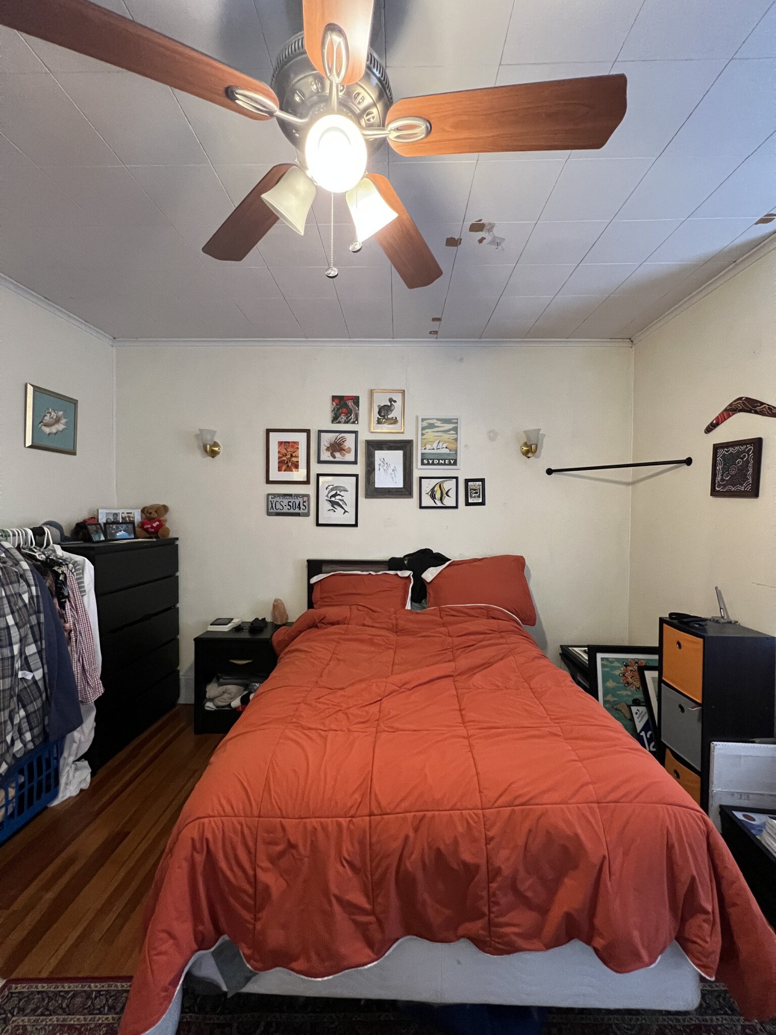 12 Hancock St, Spring Hill