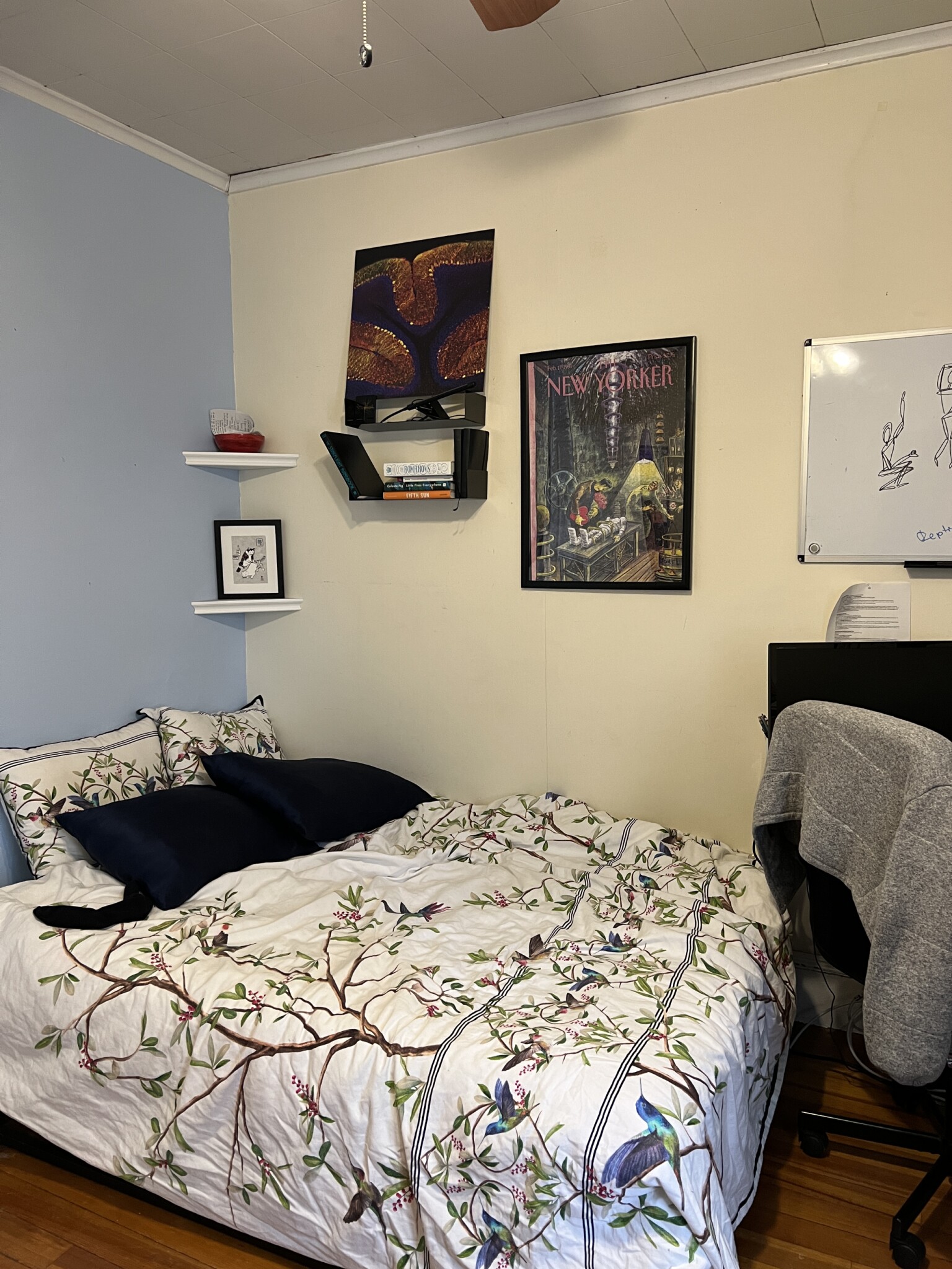 12 Hancock St, Spring Hill