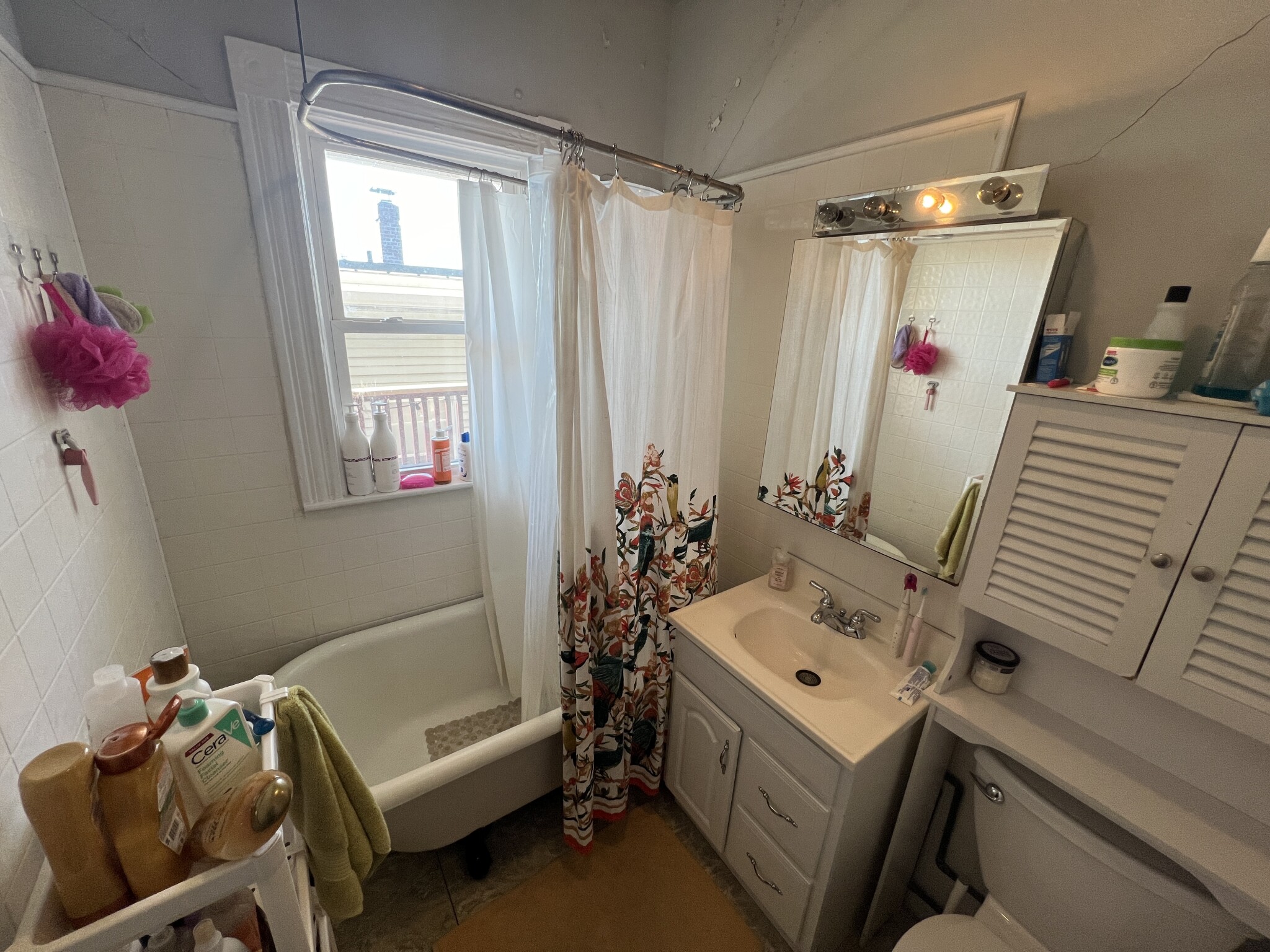 51 Ibbetson St, Spring Hill