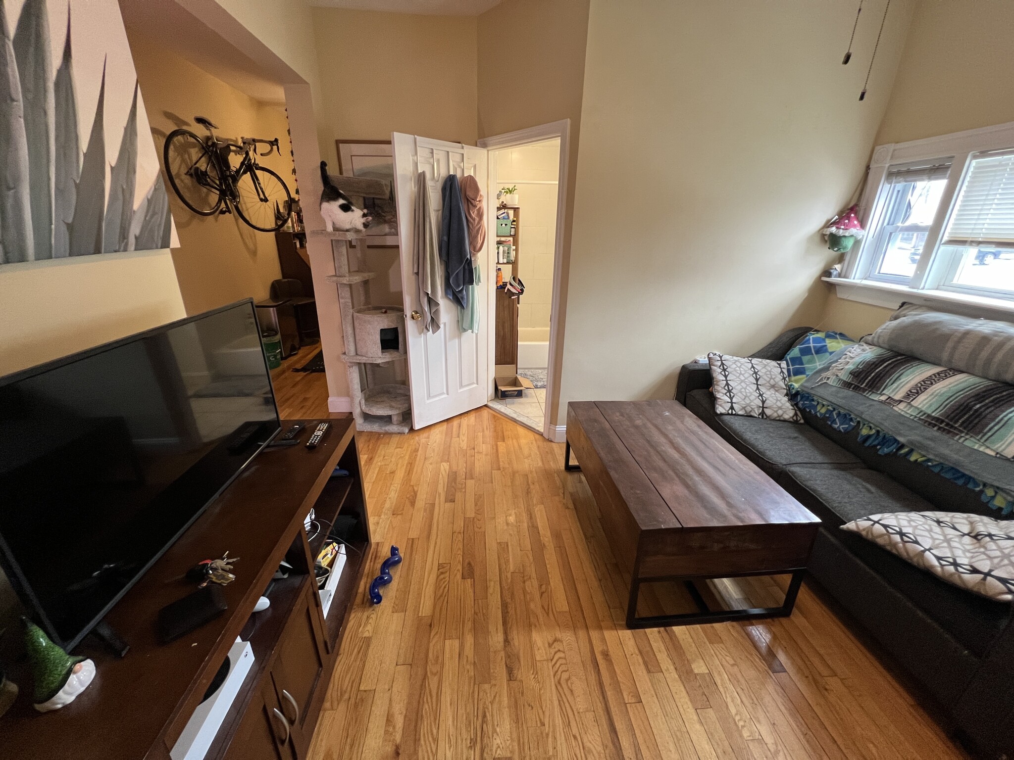 1 Victoria St, West Somerville