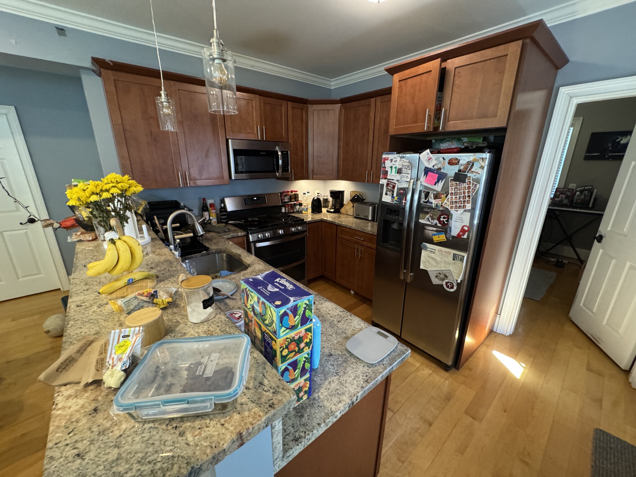 15 Orchard St, North Cambridge