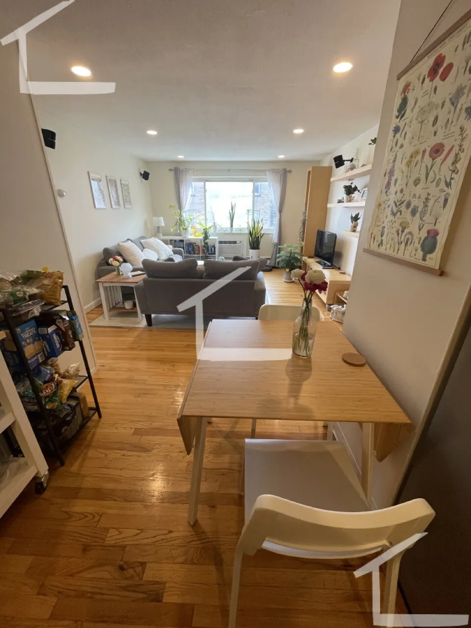 290 Corey Rd, Brighton