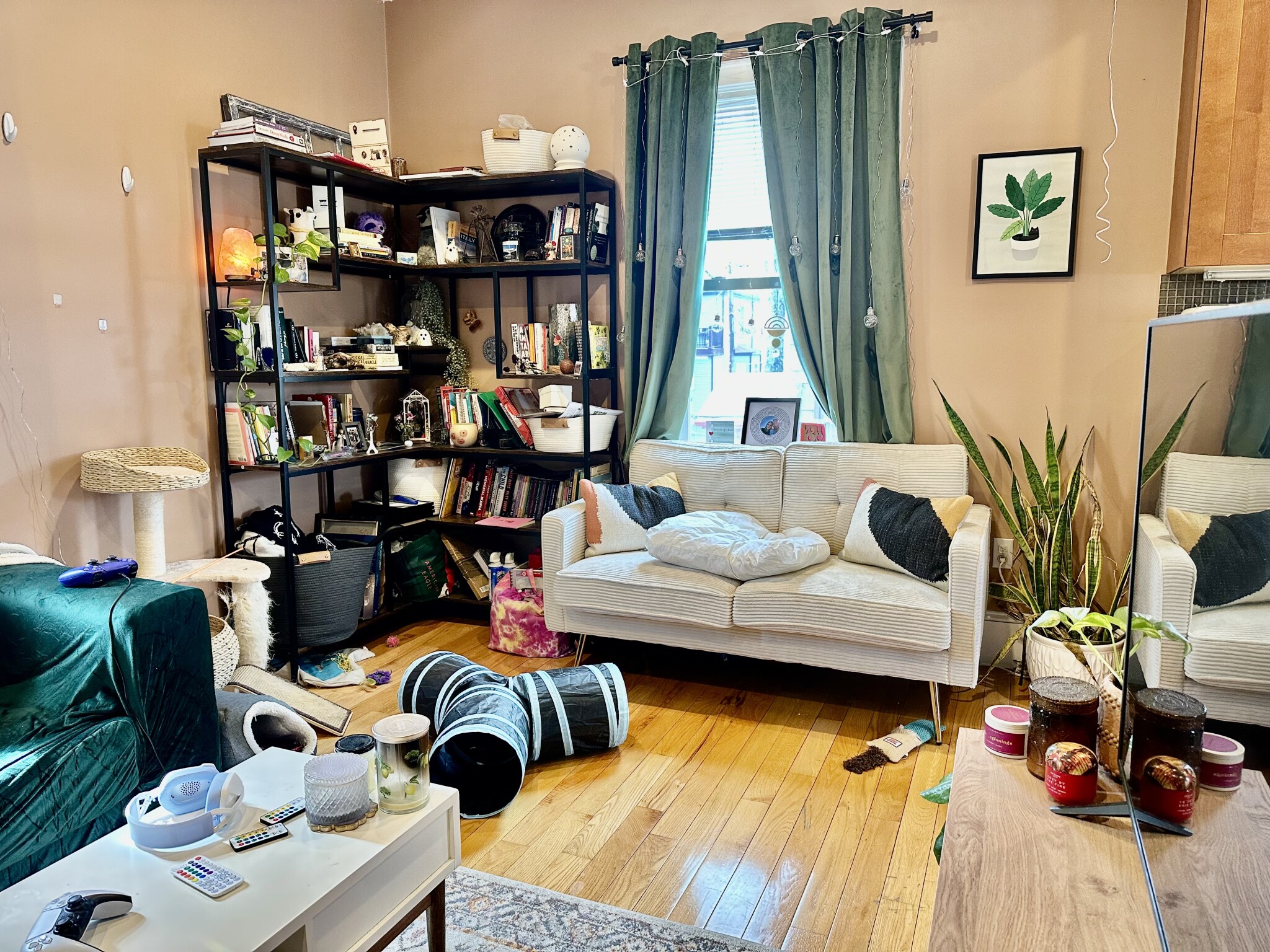 97 Dover St, Davis Square