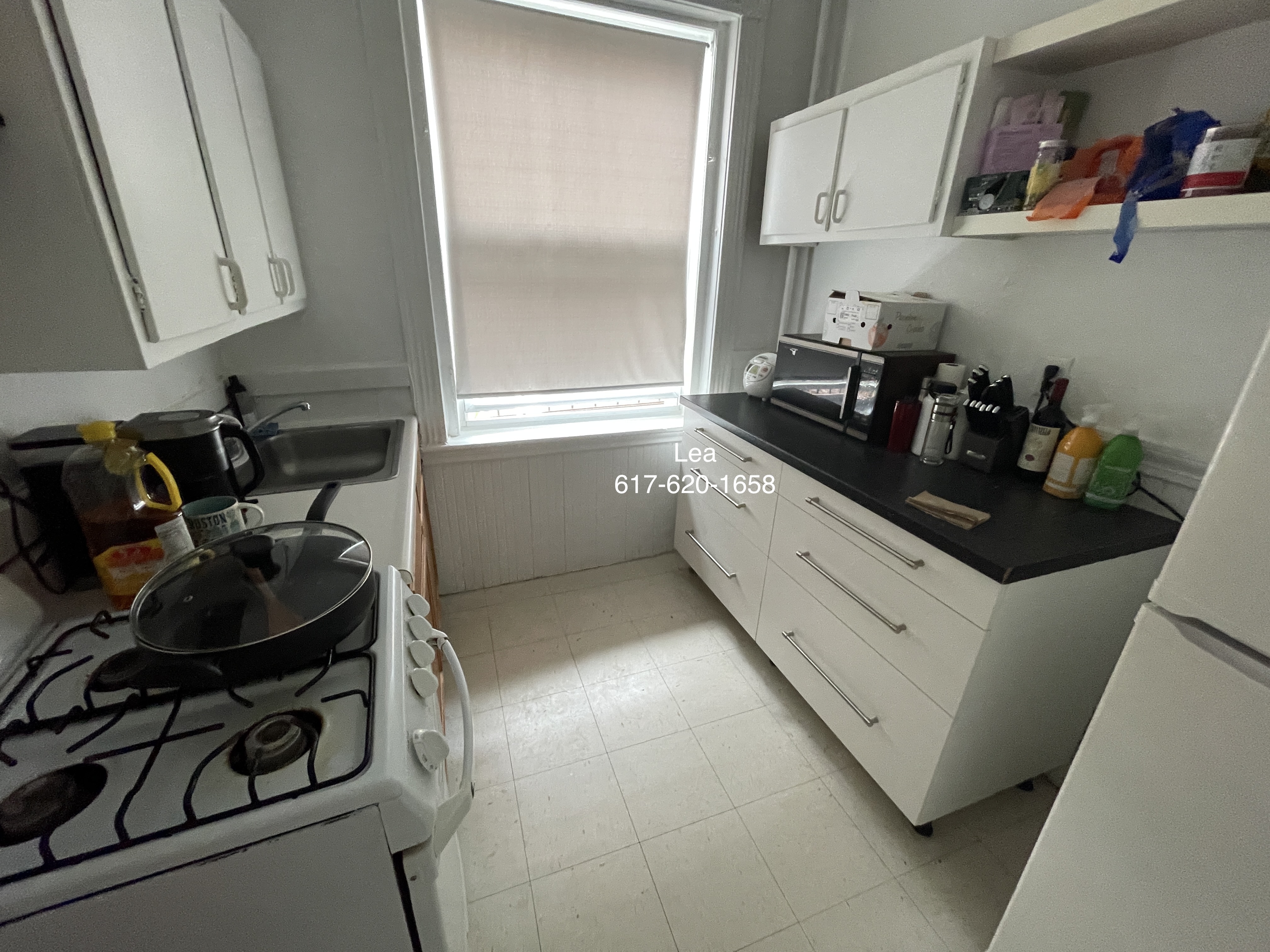 5 Walbridge St, Brighton