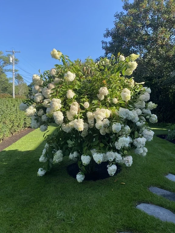 20 Cato Ln, Nantucket