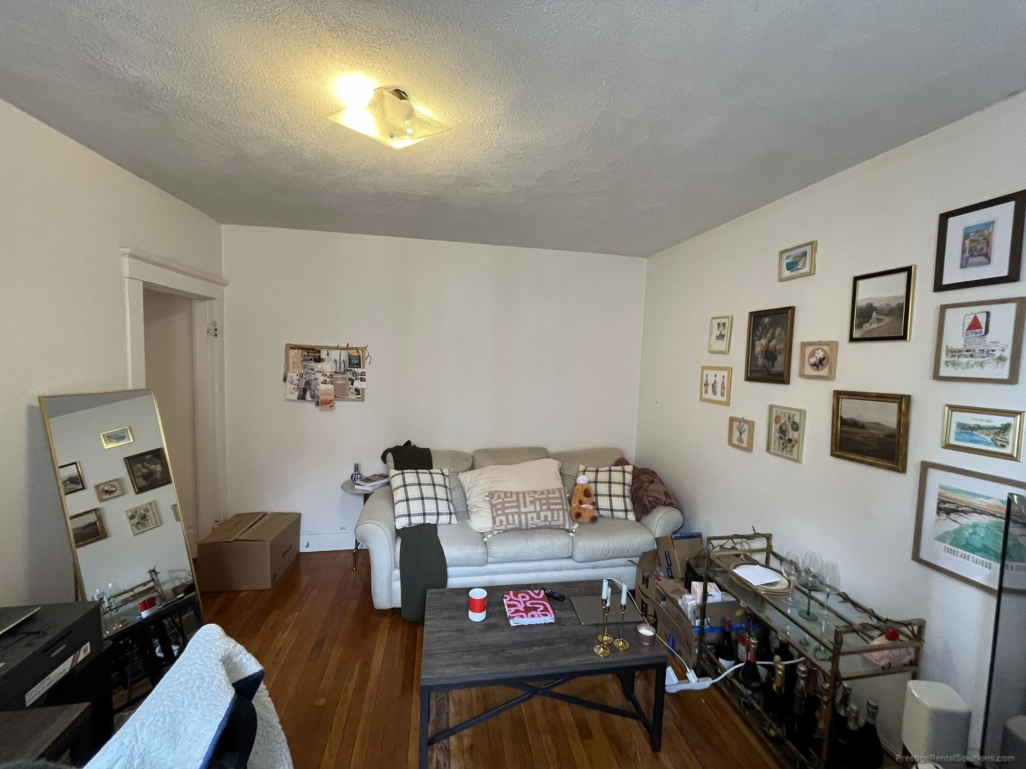 11 Scottfield Rd, Brighton