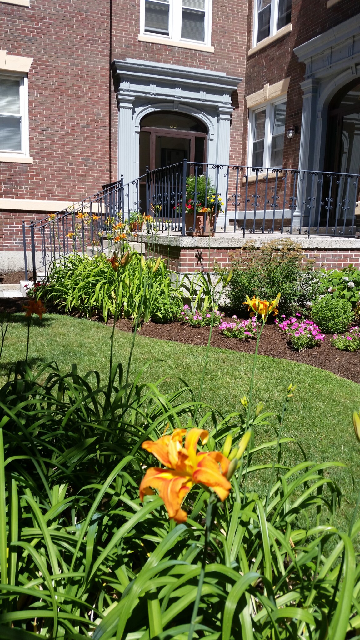 53 Manchester Rd, North Brookline