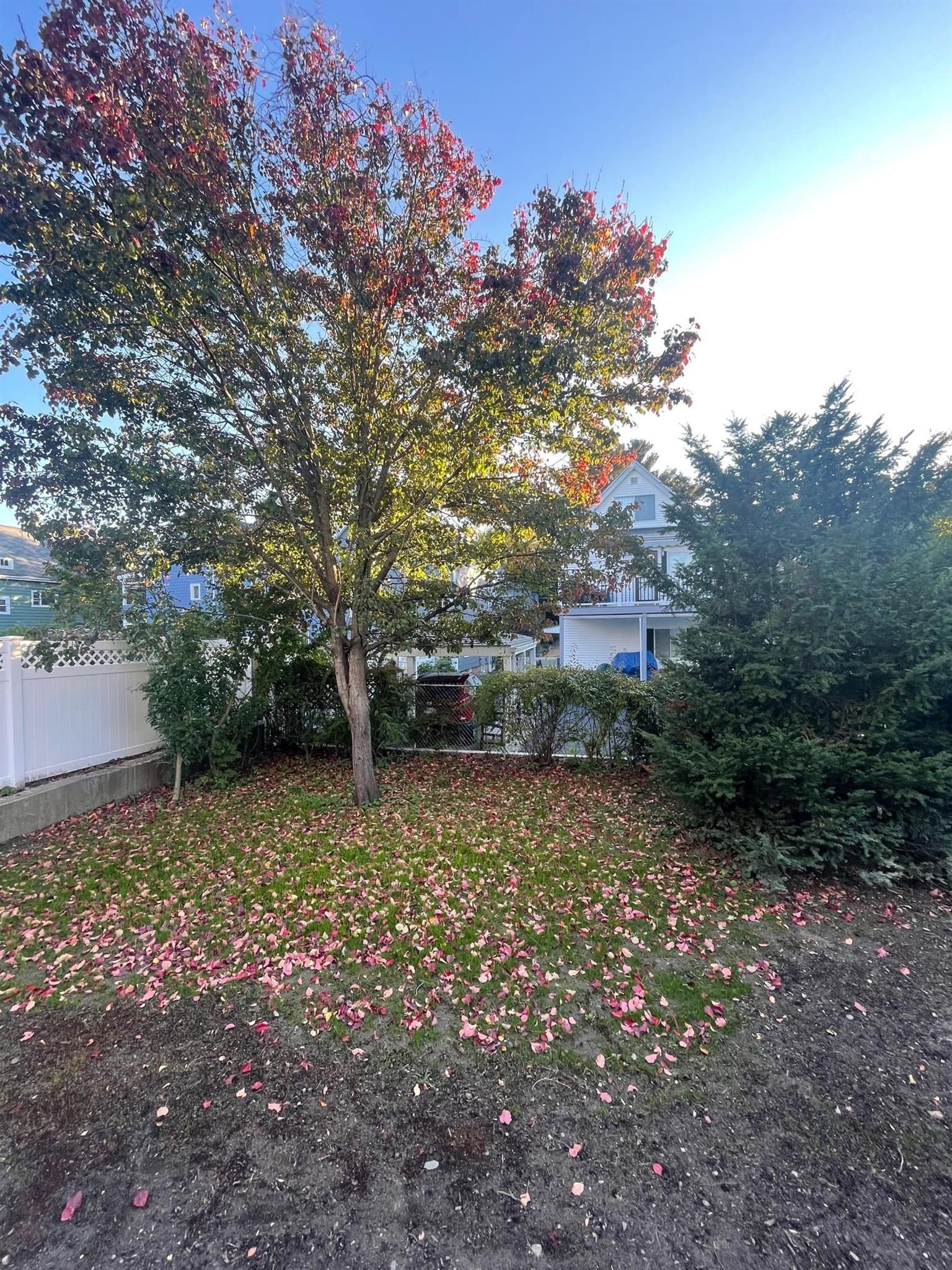 29 Alpine St, Powder House Square