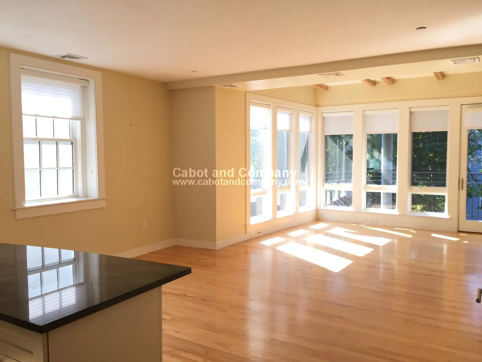 72 Hamilton St, Cambridgeport