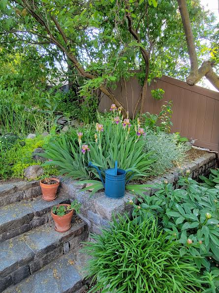 17 Elmira St, Brighton