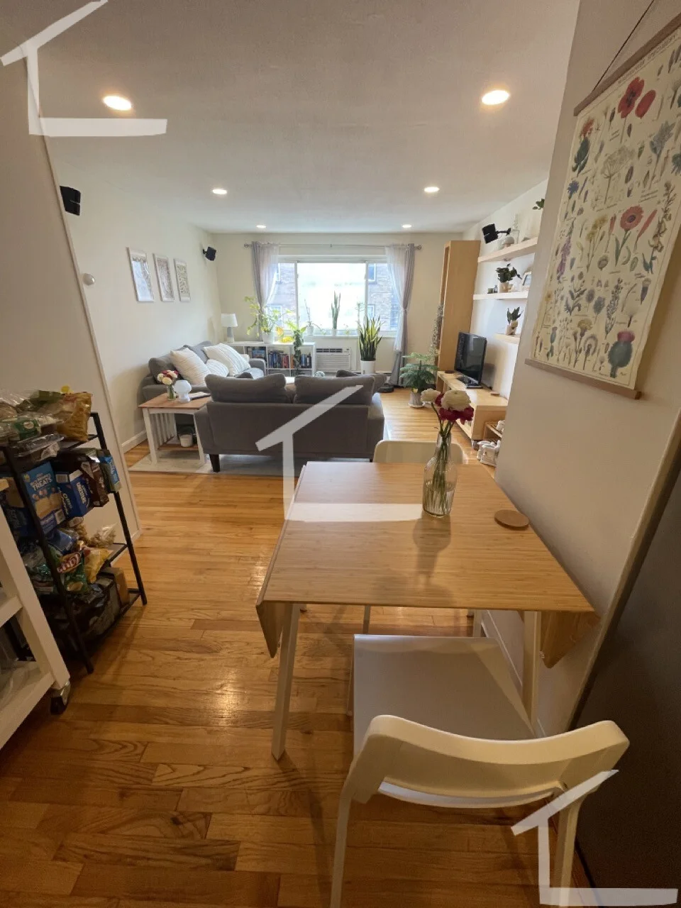 290 Corey Rd, Brighton