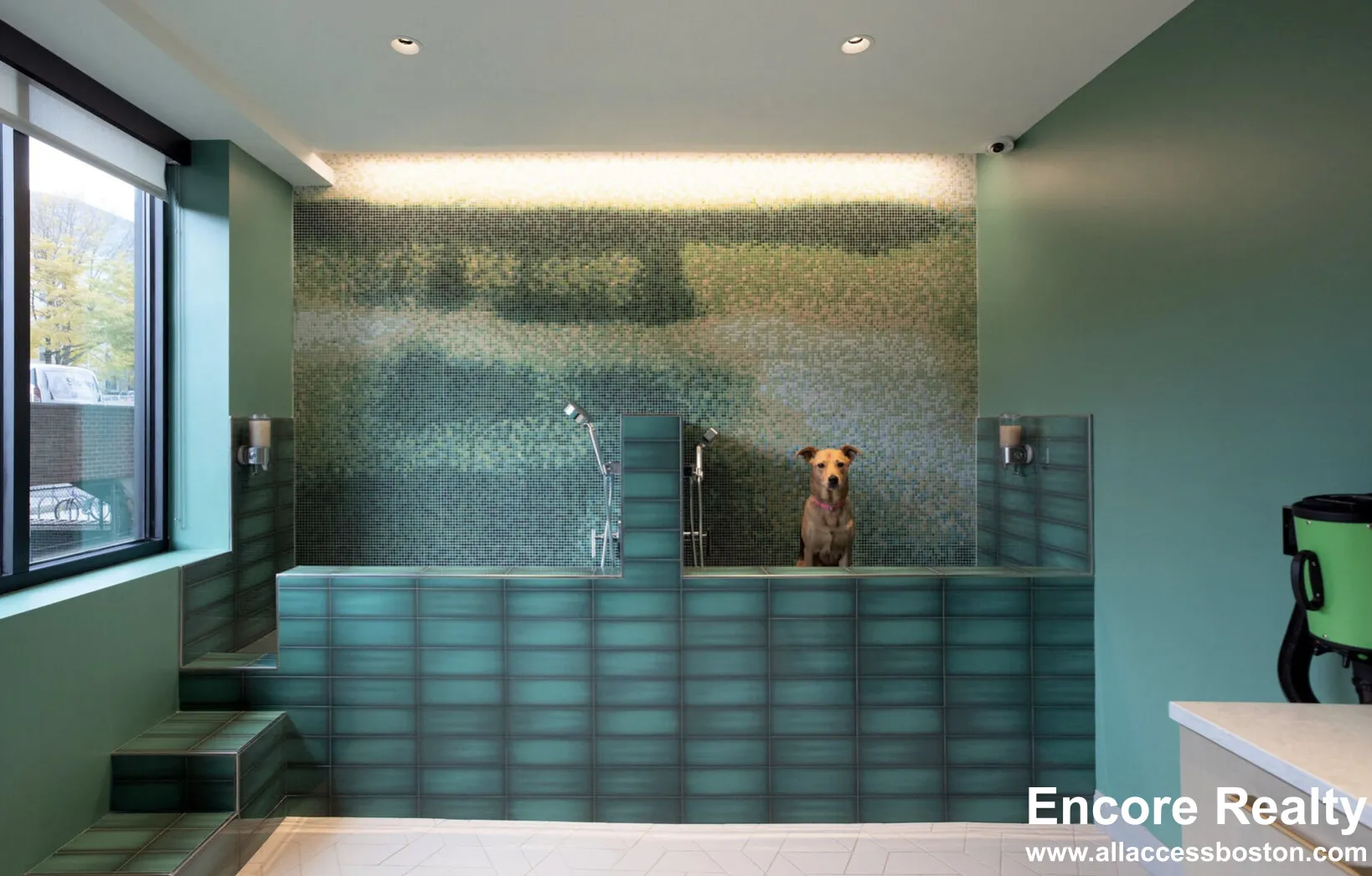 75 Saint Alphonsus St, Mission Hill