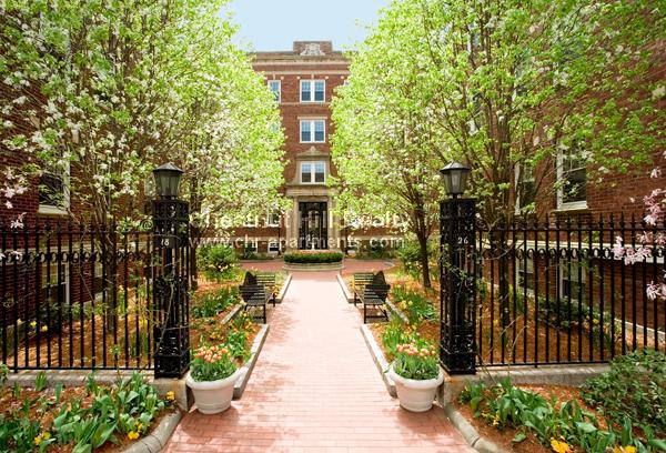 20 Chauncy St, Neighborhood Nine