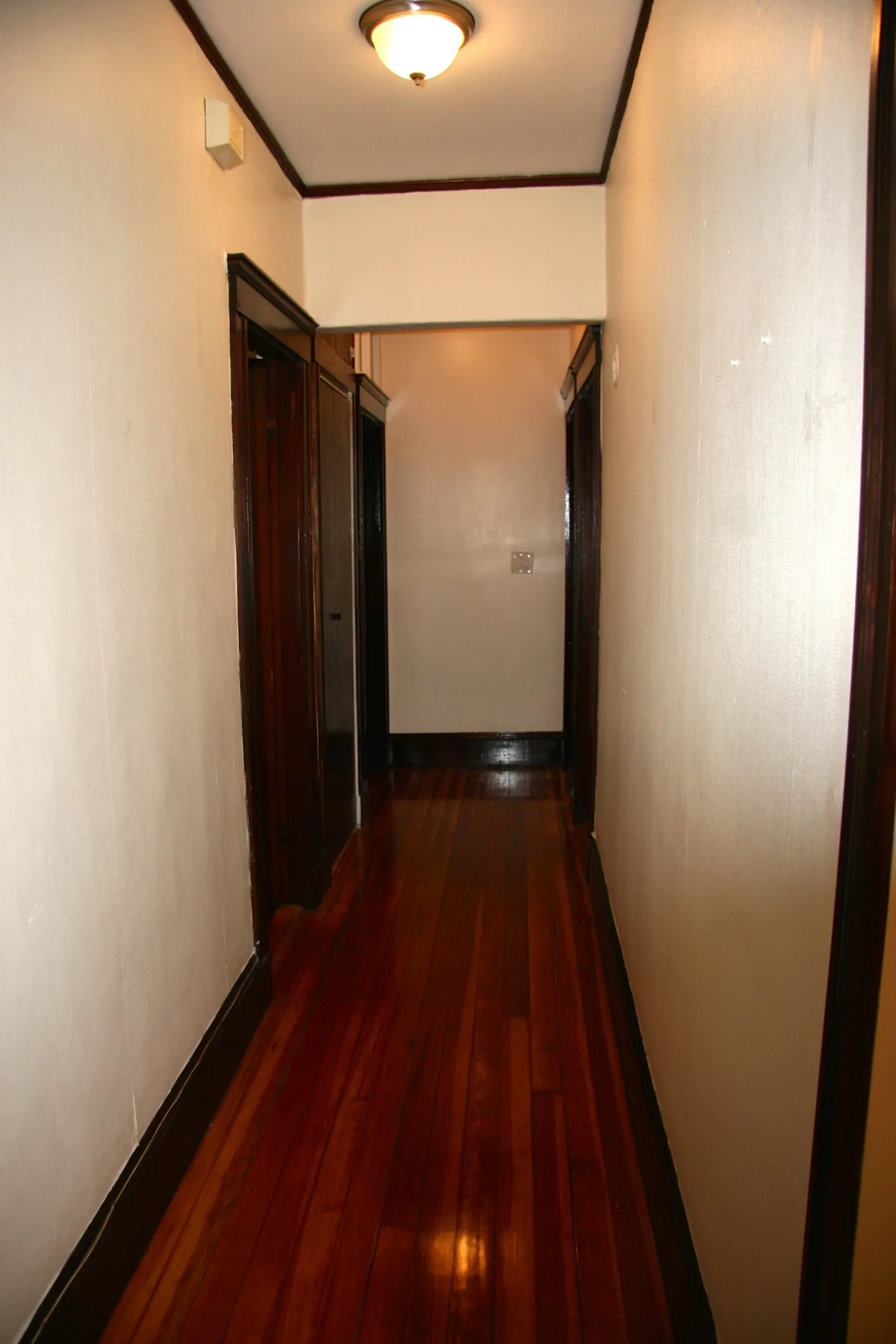 54 Hobson St, Brighton