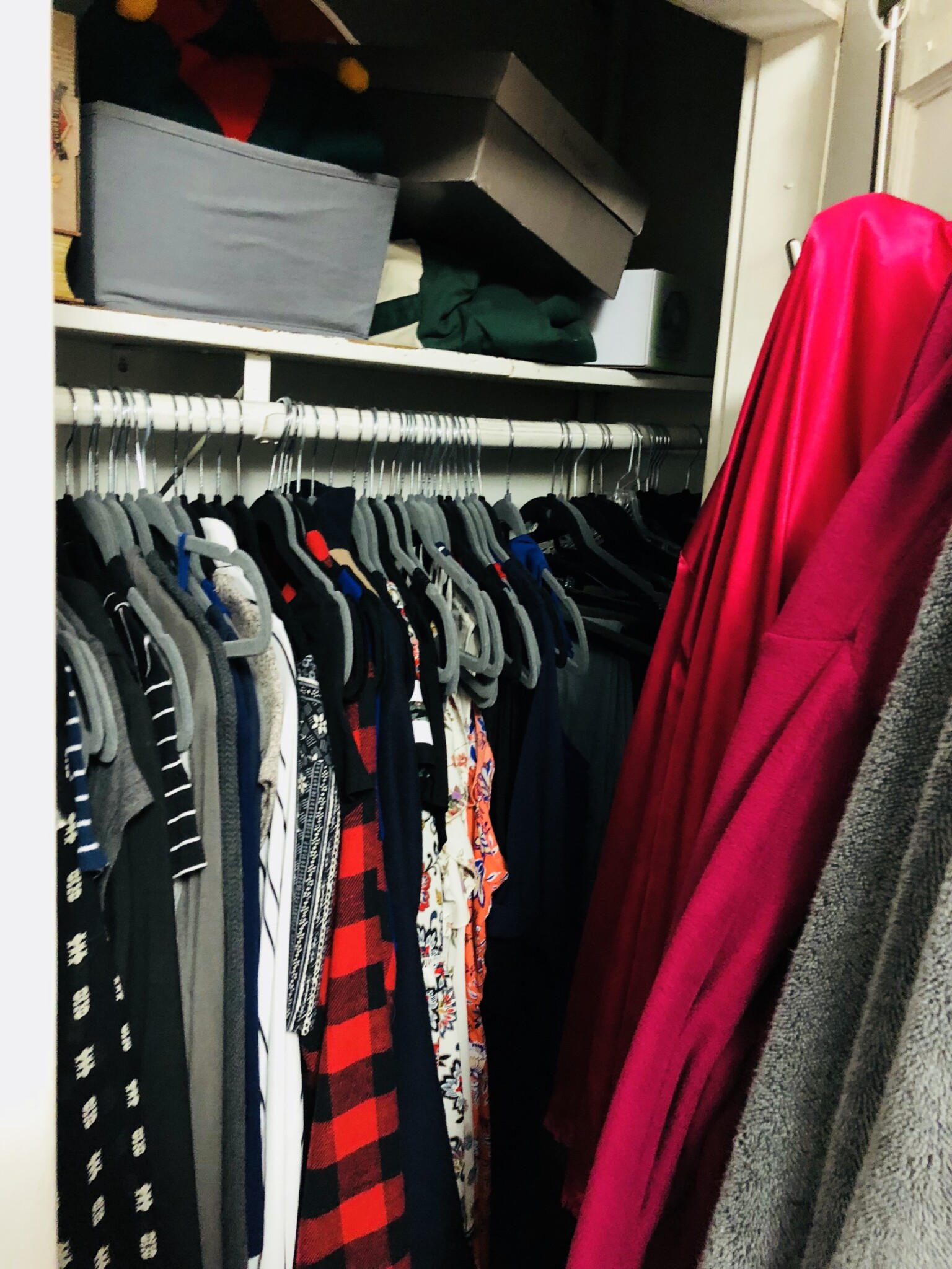 15 Scottfield Rd, Brighton