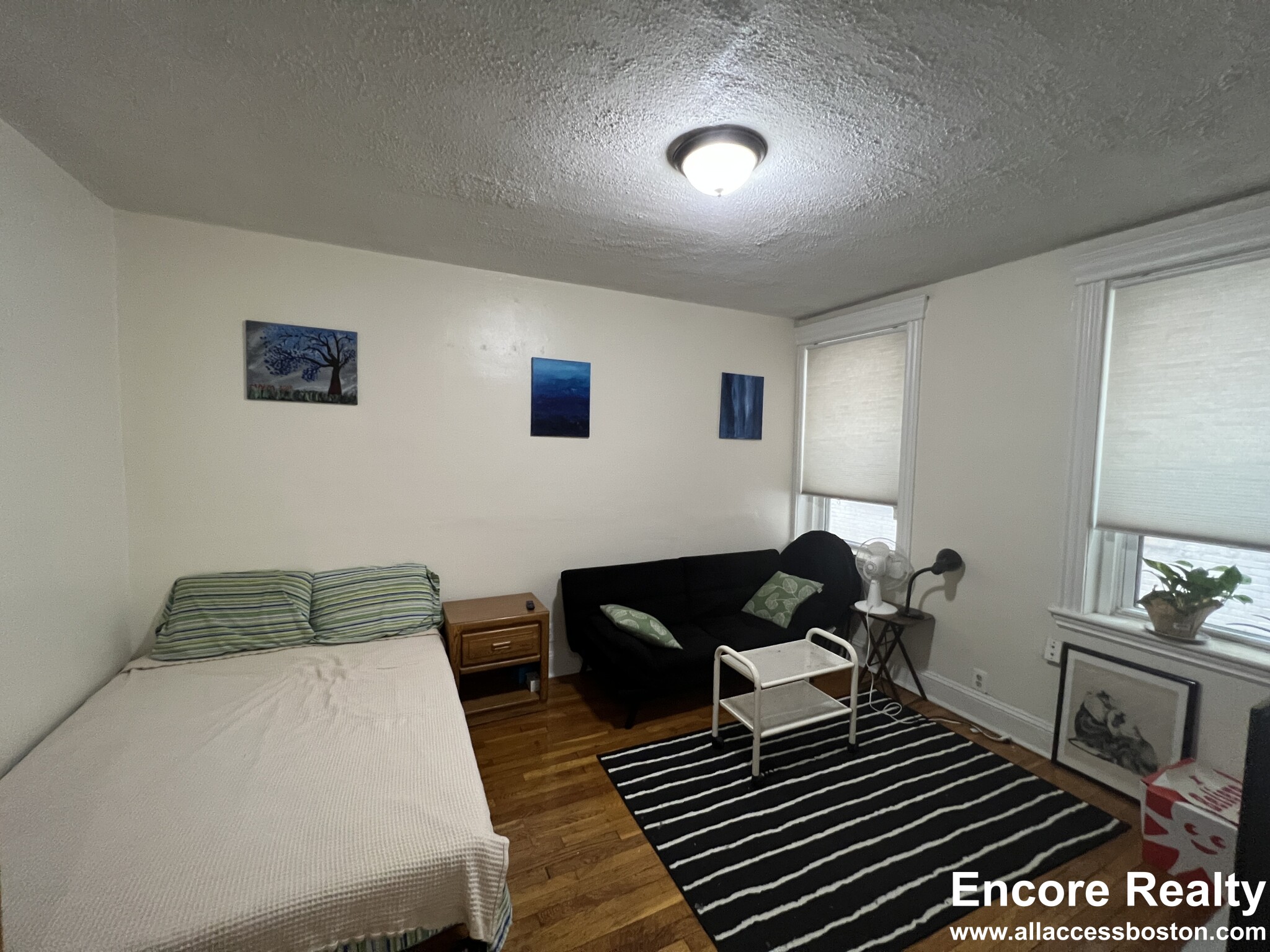 364 Riverway, Mission Hill