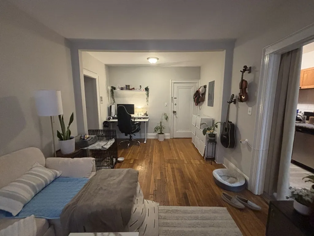 249 Chestnut Hill Ave, Brighton