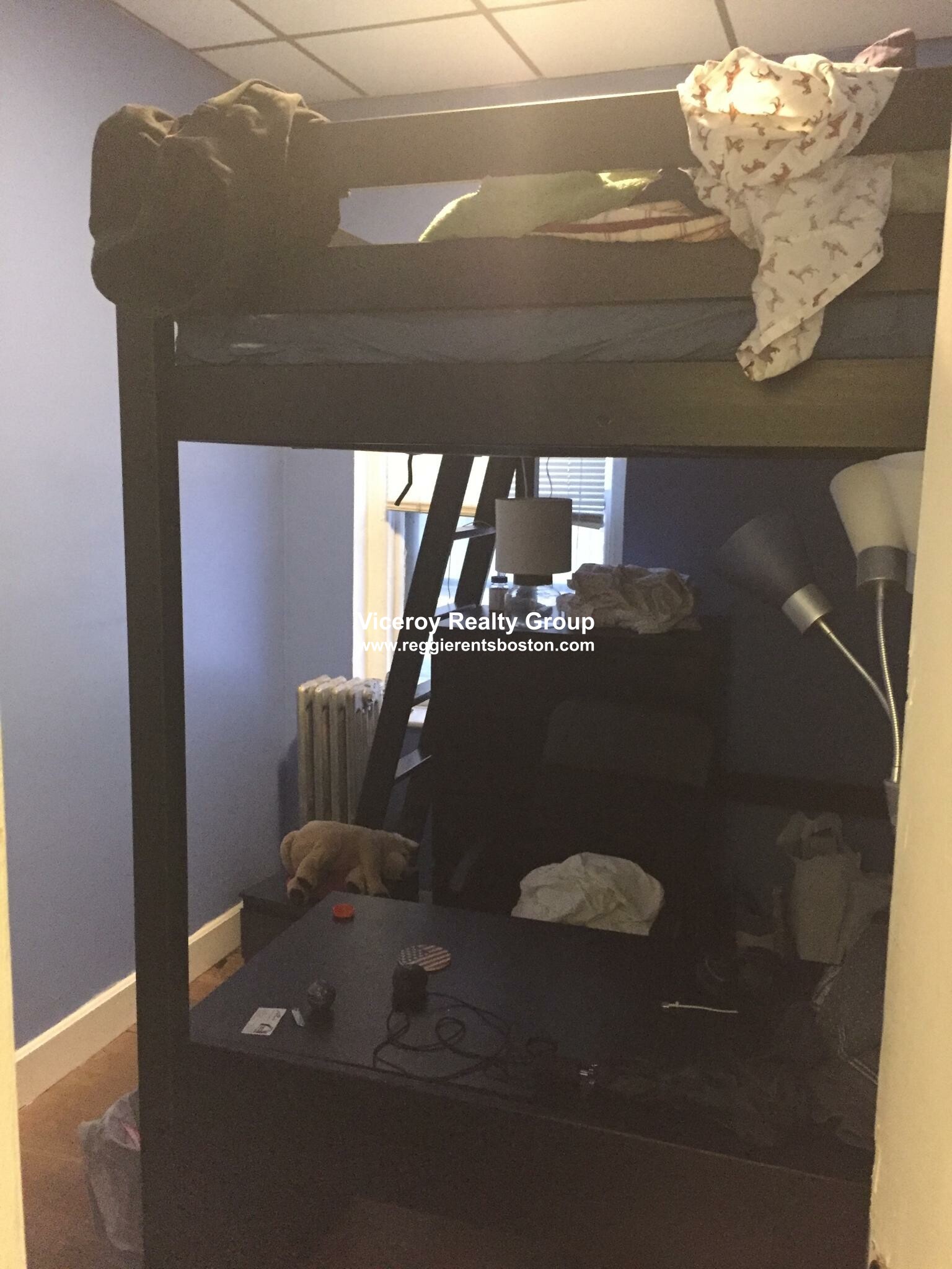 15 Aberdeen St, Fenway