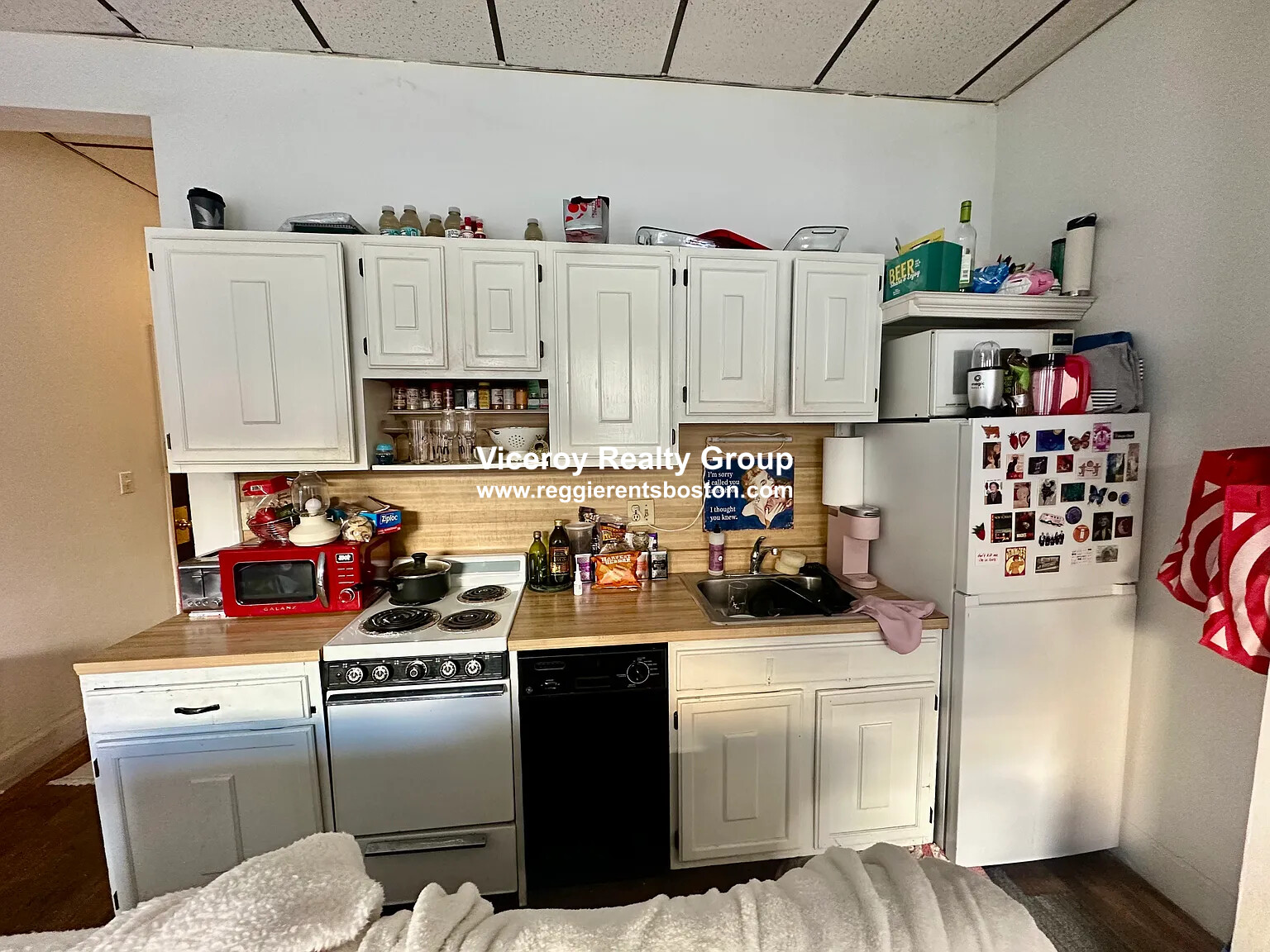 15 Aberdeen St, Fenway