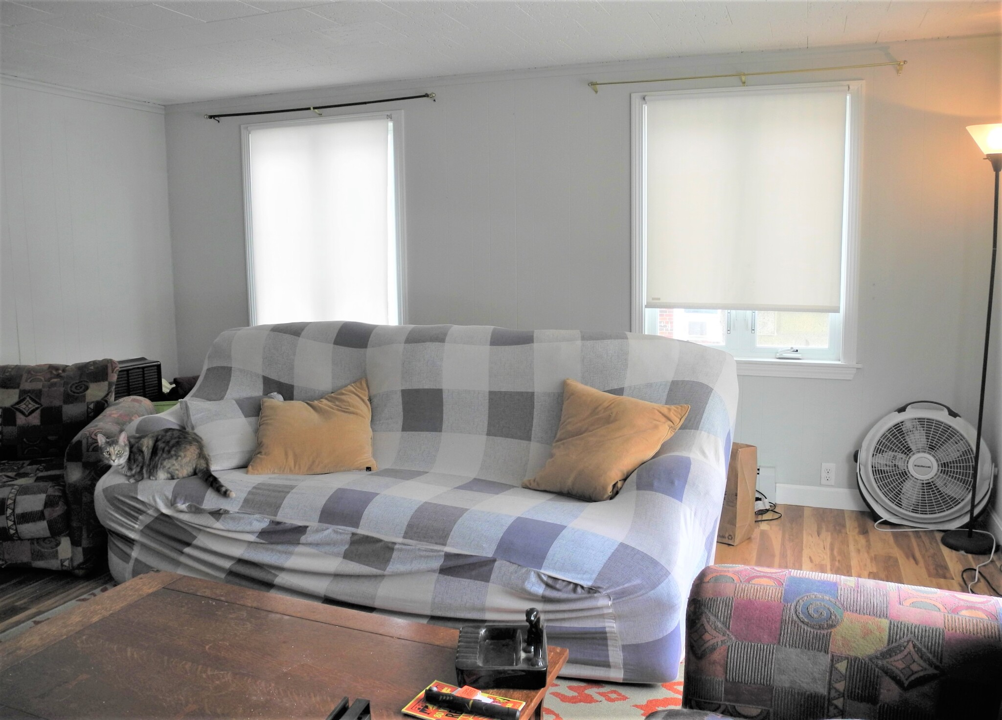 8 Mapleton, Brighton