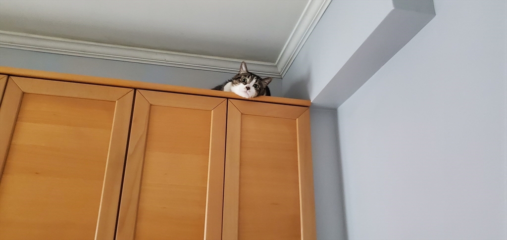 12 Royce Rd, Brighton