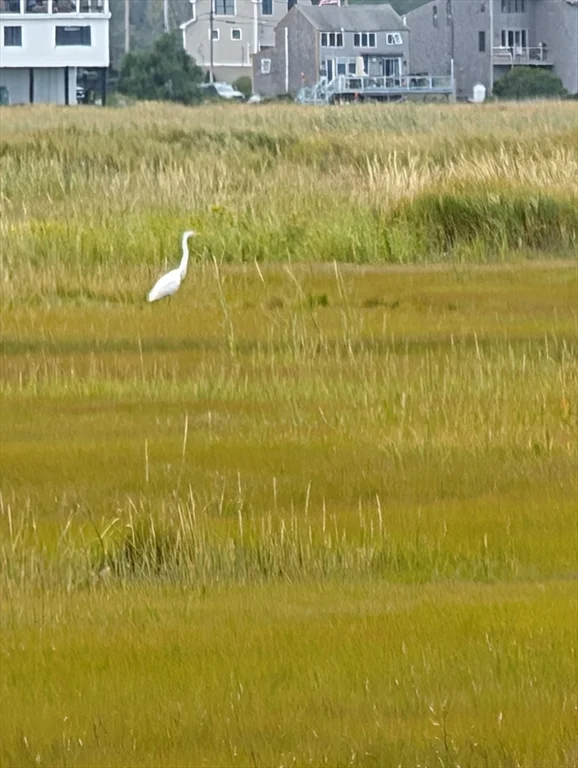 44 Old Point, Newbury