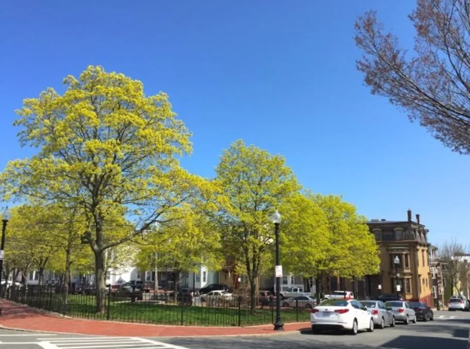 75 Putnam St, Eagle Hill