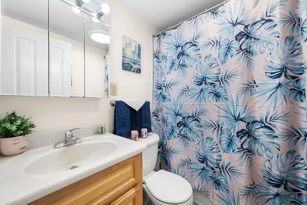 49 Cedar St, Roxbury