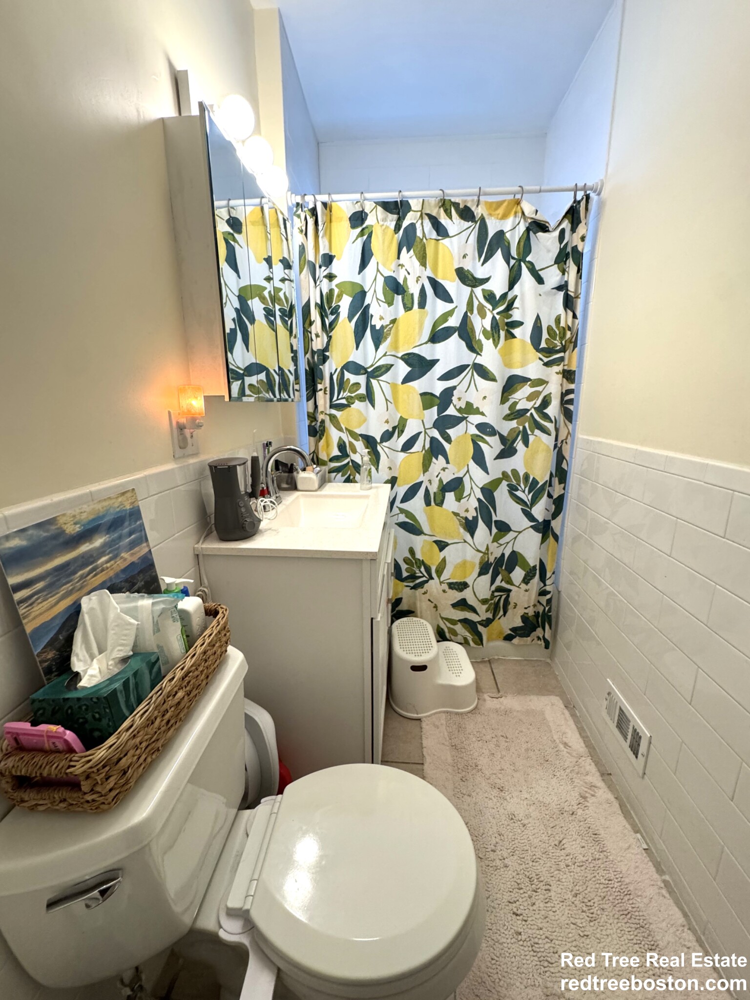 242 Belgrade Ave, Roslindale